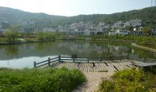 黄山游记_3000字