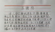 关于雷锋的作文:活雷锋_550字