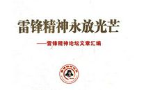 关于雷锋的作文:雷锋精神之我见_800字