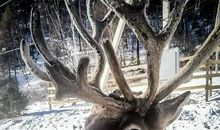 我心目中的雨_600字