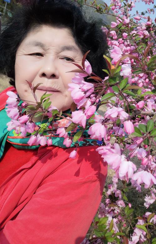 春天是美丽的_450字
