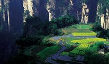 走进那一首田园诗