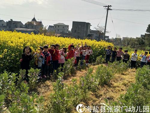 去寻找春天
