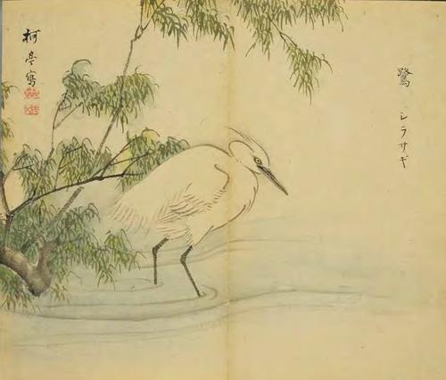 “永远不要杀死陈宇”