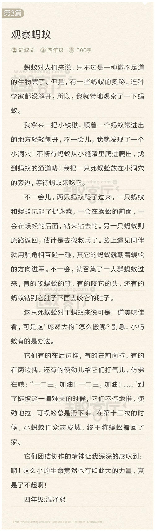 幸运的女孩日记_900字