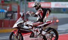 里奇的小布熊_200字