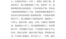 在城市里流浪读后感