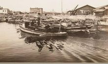 日本地震中的我们_250字