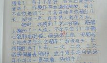 关于努力的作文：努力学会生存能力_3000字