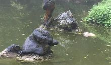 弘扬民族精神，努力学习_550字