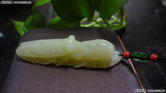 蜗牛撤退