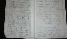 【微作文】爱国_450字