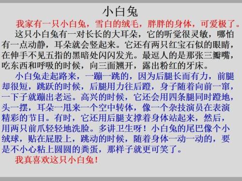 我是什么？