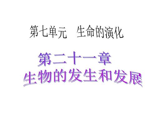 2009年北京高中入学考试“生活未结束”_800字