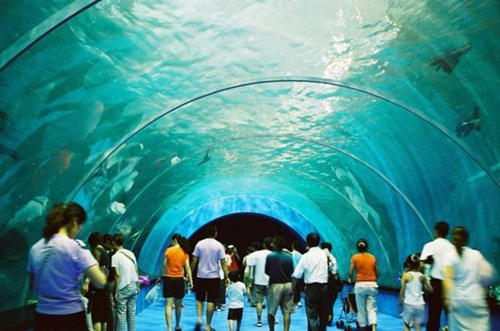 极地海洋世界日游