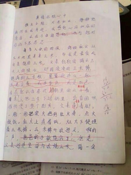[PK Tour]爱的作文：母爱_200字