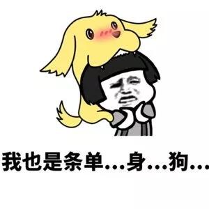 这首歌应该只有_600字