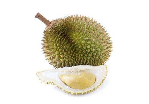 我最喜欢的水果榴莲组成