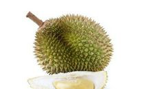 我最爱的水果榴莲作文