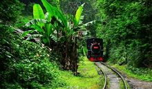 2009年全国Ⅱ高考满分作文：开往春天的火车_800字