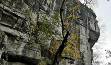 卷八·浯溪留题