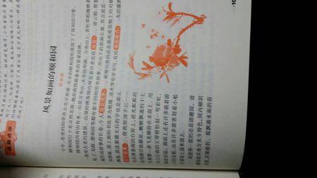 [PK Tour]风景上的构成：秋天梦_750字