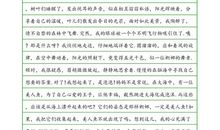 [PK赛]关于童年趣事的作文：我的“仁兄”_1200字