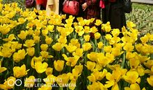 在马鞍池公园玩_250字