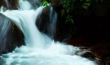 走进五月，去聆听大自然的声音_1200字