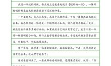 [PK赛]关于童年趣事的作文：自制饮料_650字