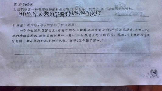 火车领域的真相_450字