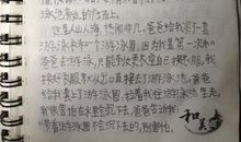 小学生暑假日记200字：给小狗洗澡_300字