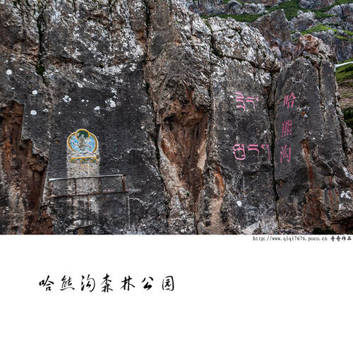 哈尔巴加_100字