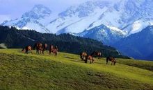 美丽的路角湾_300字