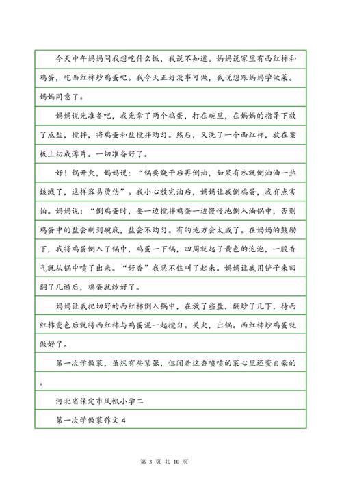 第一次做一道菜_300字