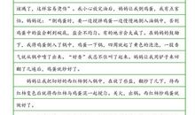 第一次做菜_300字