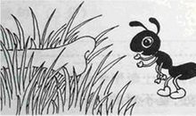 小蚂蚁过河看图写话二年级人教版