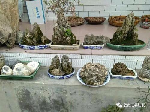 竹子在心脏_750字