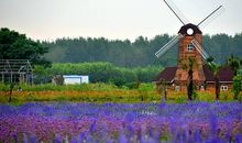 [PK赛]关于风景的作文：村庄的风景！_500字