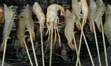 钓虾给我带来了乐趣（成鉴哲）_1000字