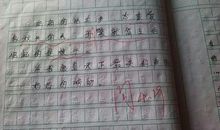 [PK赛]关于风景的作文：难以忘却的风景_450字