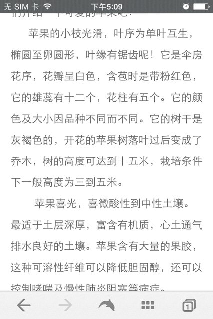 小摄影师_350字