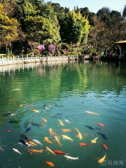 月牙游