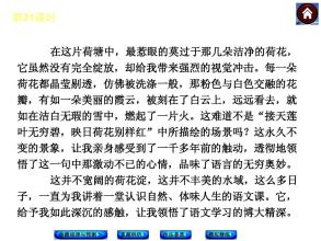 [PK Tour]风景上的构成：莲花日_1200字