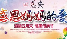 感恩母亲 学会报答 从我做起_650字