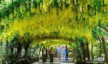 [PK赛]关于风景的作文：乡村的夏夜_500字