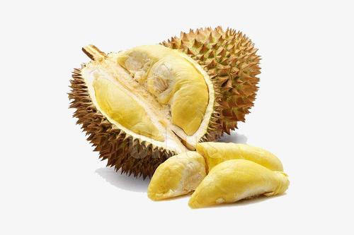 榴莲的组成