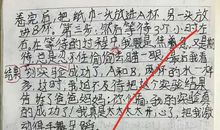 我做了一项小实验300字三年级下册