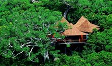 热带天堂森林公园游记