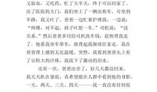 我的心爱之物五年级500字作文